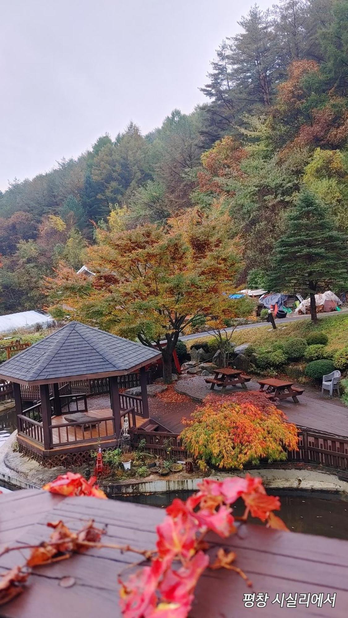 Sisilli Pension 平昌 外观 照片